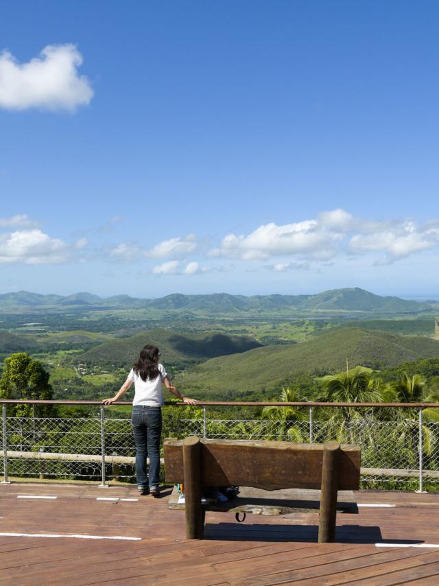 Point de vue Farino