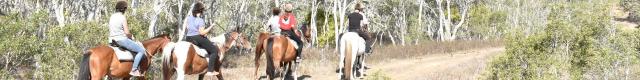Balade à cheval - La Foa