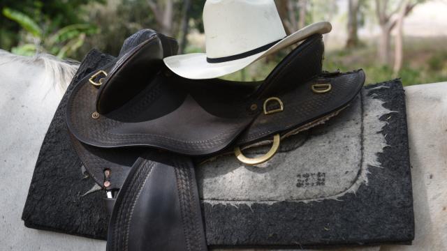 Stockmen - La Foa