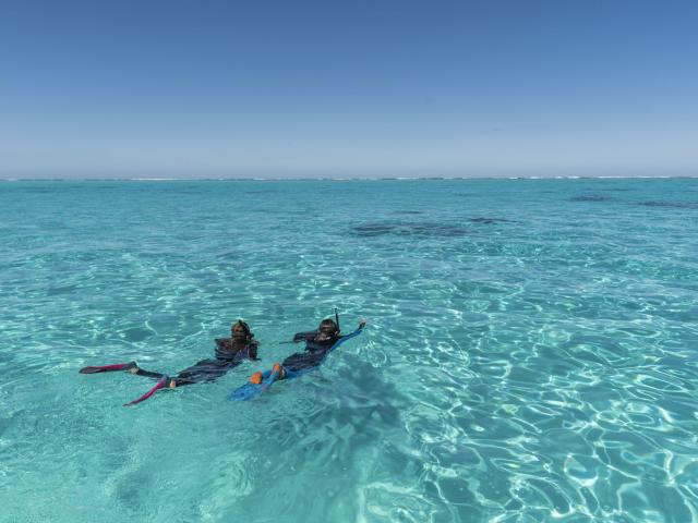Plongée Lagon De Poé Bourail
