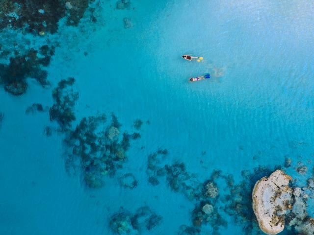 Randonnée palmée à l'Île Des Pins