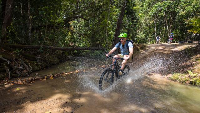 Vtt Parc Des Grandes Fougères - Farino