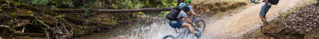 VTT Parc des Grandes Fougères - Farino