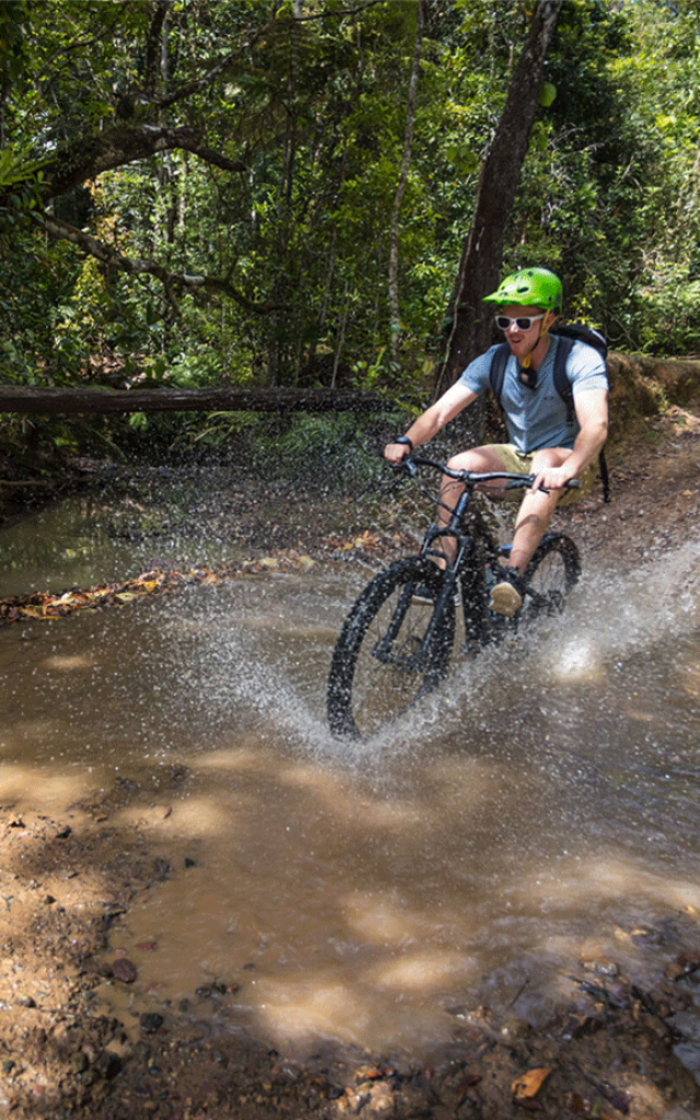 VTT au Parc des Grandes Fougères