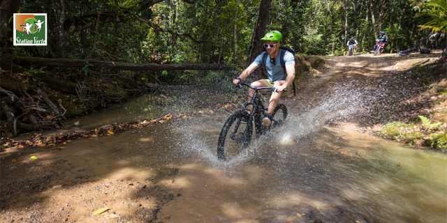 VTT au Parc des Grandes Fougères