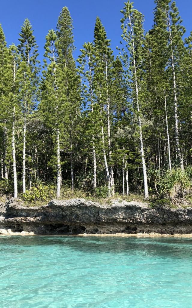 Piscine naturelle d'Oro - Ile des Pins