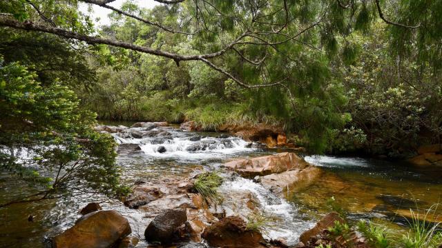 Parc provincial de la rivière bleue