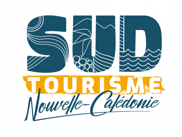 Sud Tourisme Logo Cmyn Vertical