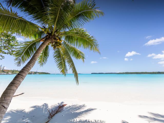 C-JACQUOT-SUD-TOURISME-∞-3735-1.jpg
