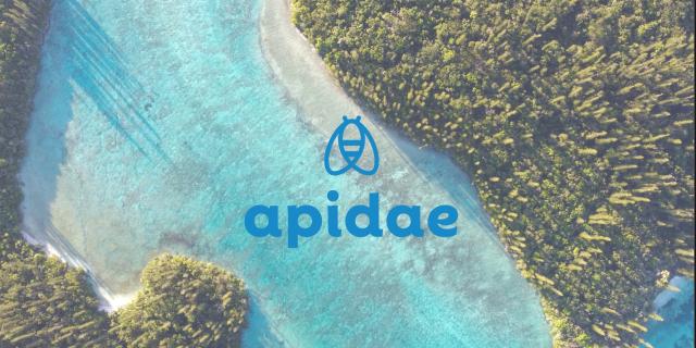Apidae