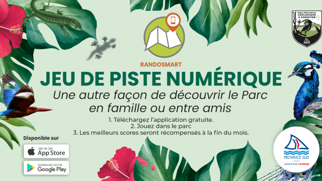 Jeu de piste numérique PZF