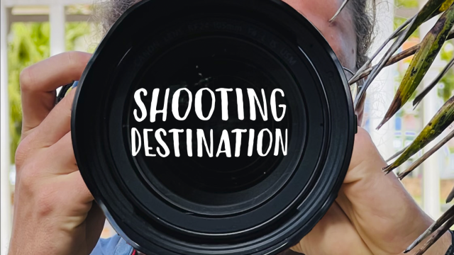 Shooting