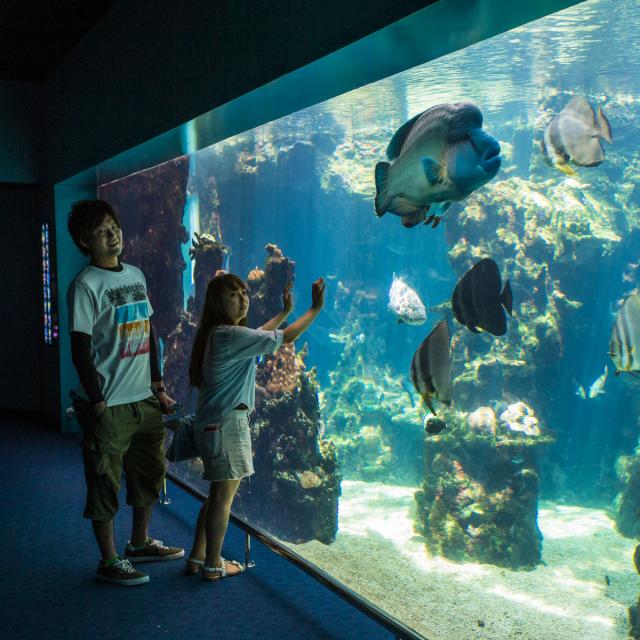 Des touristes en pleine viste de l'Aquarium des Lagons de Nouméa, capitale de la Nouvelle-Calédonie.