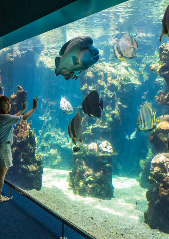 Des touristes en pleine viste de l'Aquarium des Lagons de Nouméa, capitale de la Nouvelle-Calédonie.