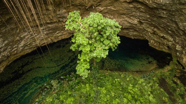 Le Trou de Bone à Maré, Îles Loyauté de Nouvelle-Calédonie.
