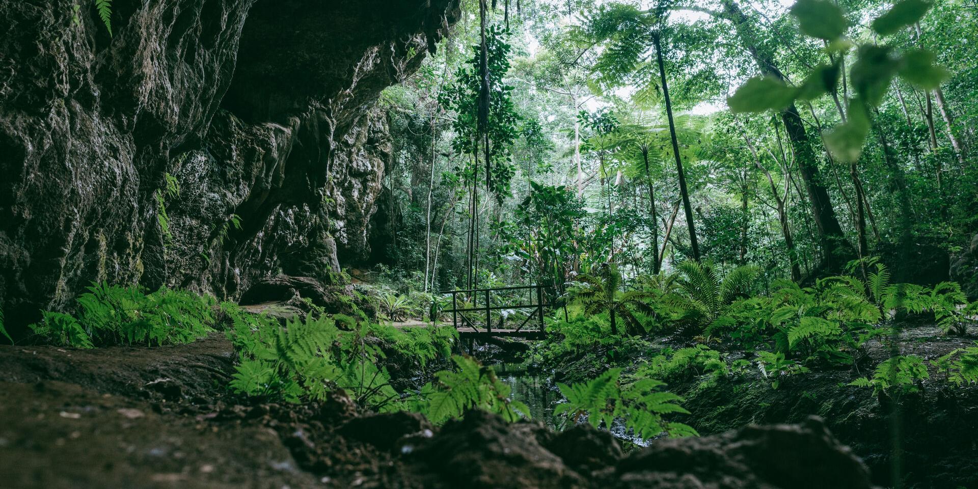 Grotto of Queen Hortense, Isle of Pines