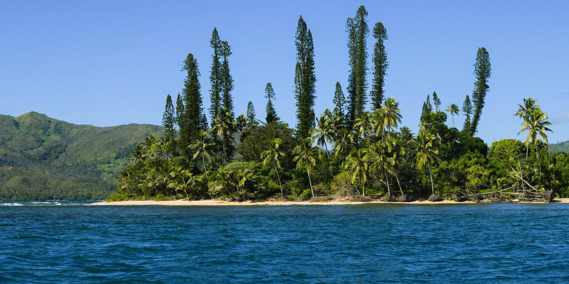 Tibarama Island, Poindimié