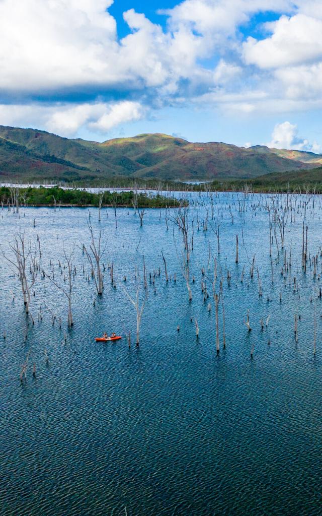 Kayak tour of the drowned forest at the Rivière Bleue Provincial Park in Yaté, in New Caledonia's Deep South.