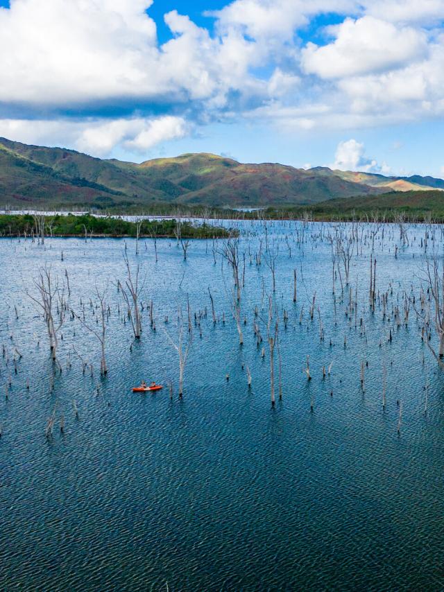 Excursion en kayak sur la forêt noyée au Parc Provincial de la Rivière Bleue à Yaté, dans le Grand Sud de la Nouvelle-Calédonie.
