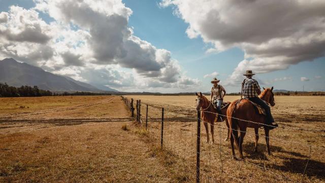 Paysage broussard avec les Stockmen de la Ferme De Néméara (à Bourail) sur leurs chevaux.