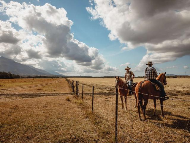 Paysage broussard avec les Stockmen de la Ferme De Néméara (à Bourail) sur leurs chevaux.