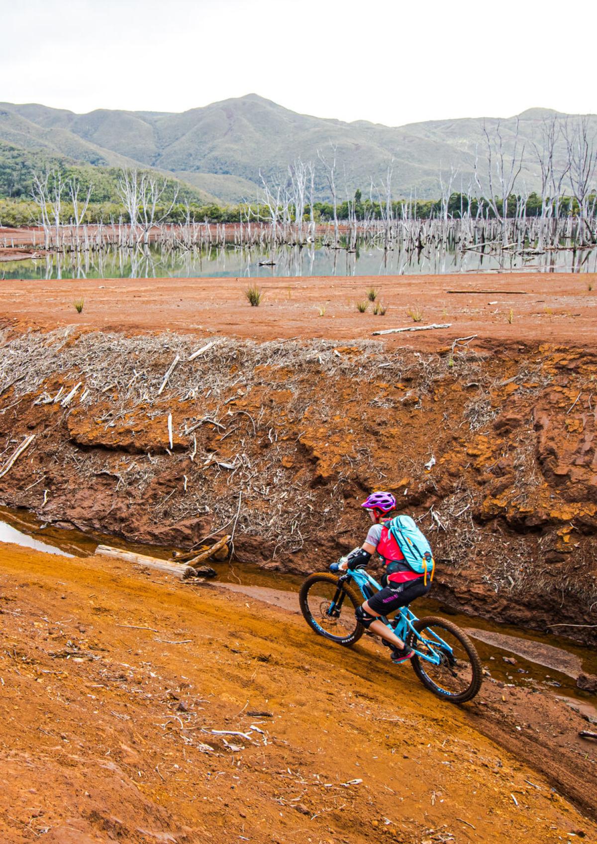 Visiter le Parc Provincial de la Rivière Bleue NouvelleCalédonie