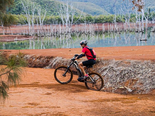 VTT autour de la Forêt Noyée au Parc Provincial de la Rivière Bleue à Yaté, dans le Grand Sud de la Nouvelle-Calédonie.