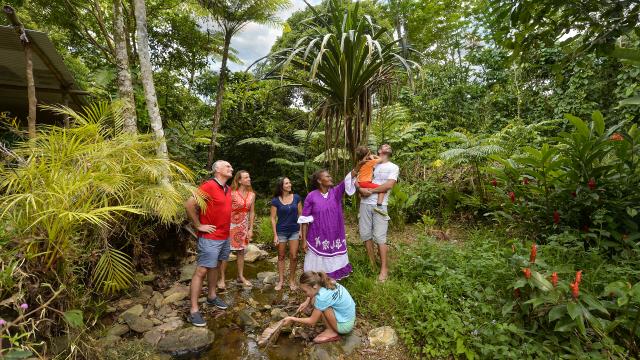Visit to Chez Hélène gardens in the Tchamba tribe, Ponérihouen
