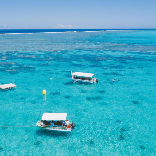 PMT au sentier sous-marin du lagon de Poé à Bourail, en Nouvelle-Calédonie.