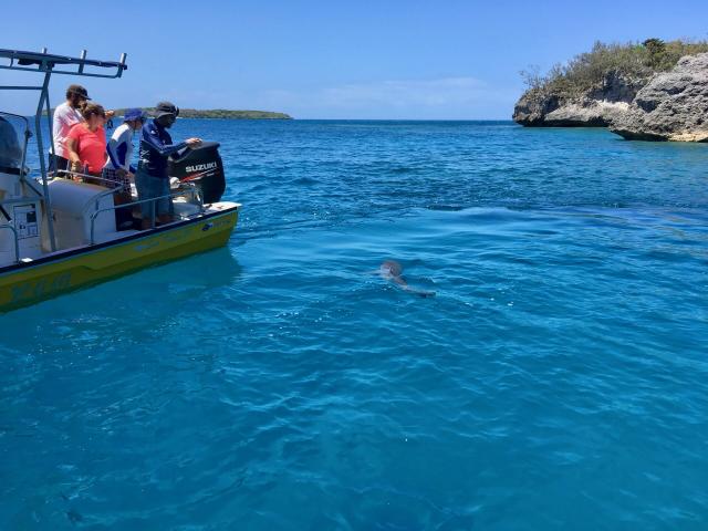 Excursion en mer aux Pléiades du Sud d'Ouvéa, Îles Loyauté de Nouvelle-Calédonie.