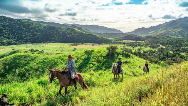 Randonnée équestre au Gîte Les 3 Boucles à Thio, sur la côte Est de la Nouvelle-Calédonie.