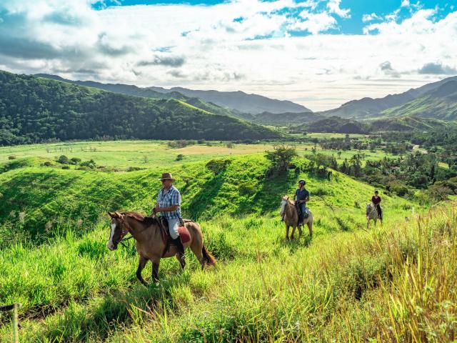 Randonnée équestre au Gîte Les 3 Boucles à Thio, sur la côte Est de la Nouvelle-Calédonie.