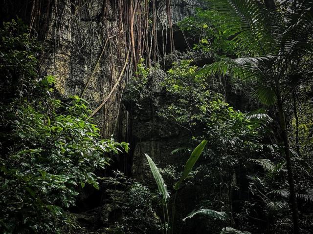 Instagram #newcaledonia