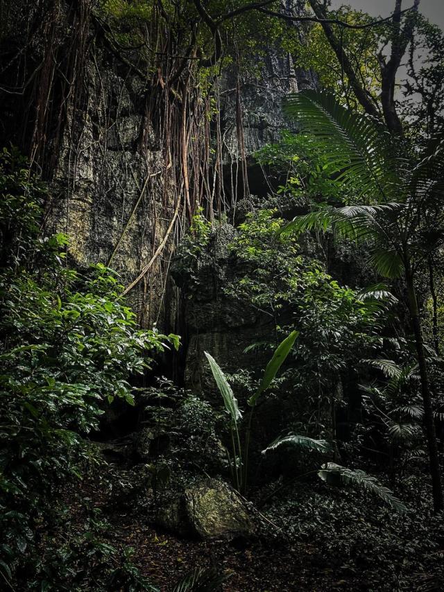 Instagram #newcaledonia
