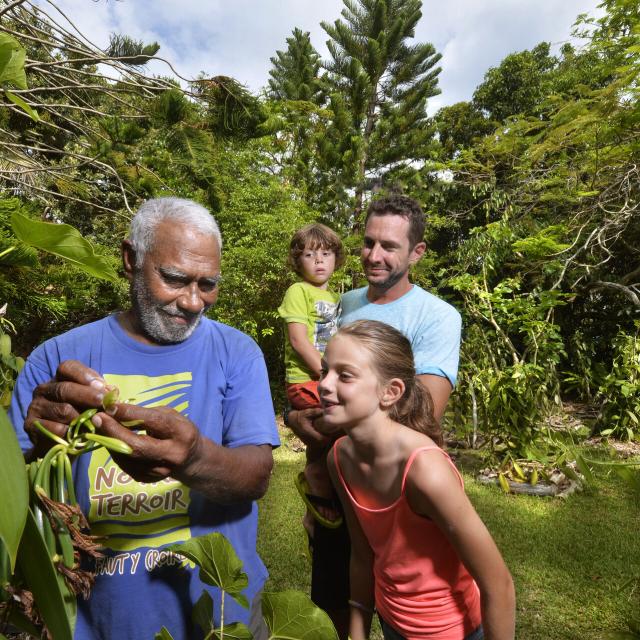 Fête de la Vanille à Lifou, Îles Loyauté