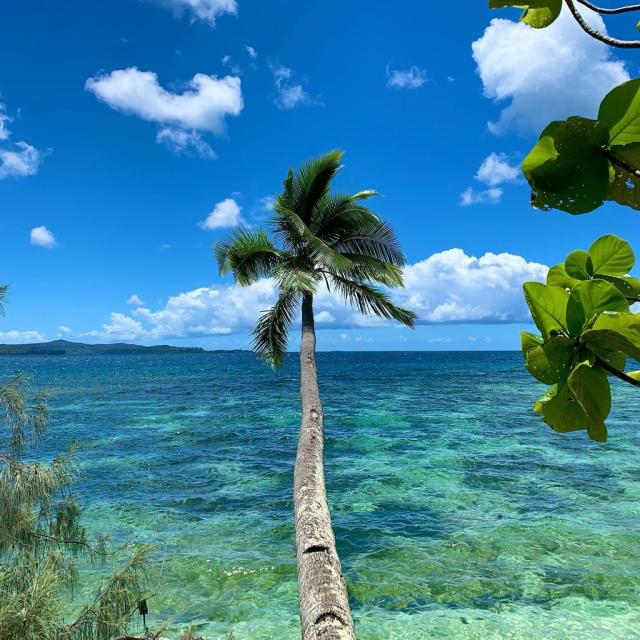Instagram #nouvellecaledonie