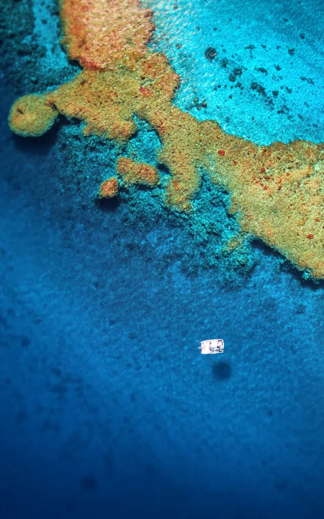 Catamaran cruise in New Caledonia's lagoon