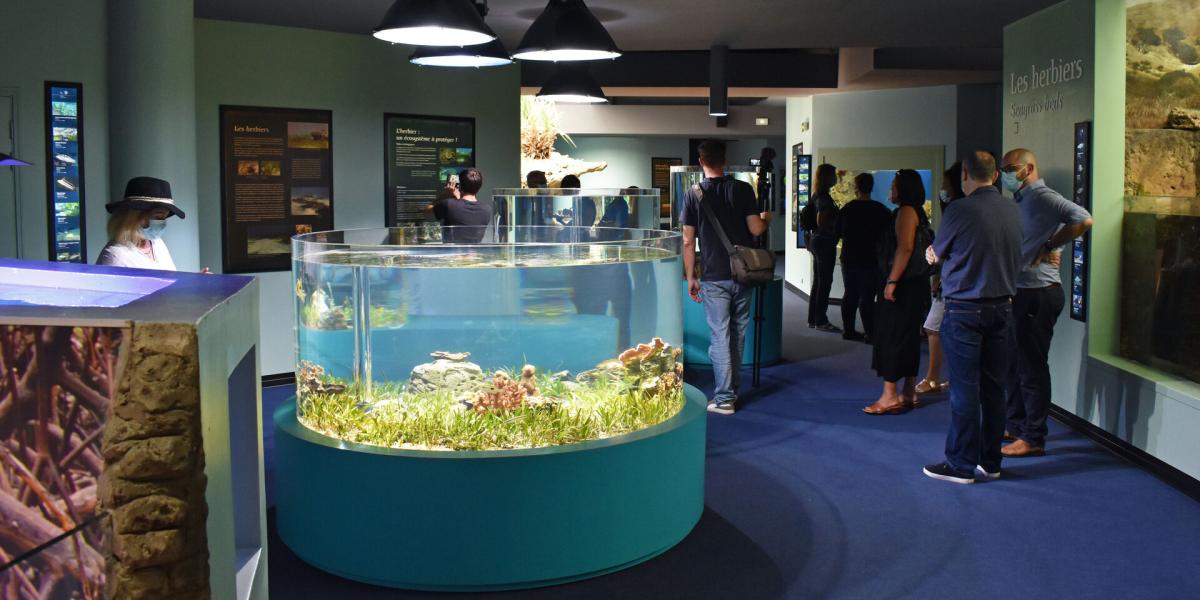 Visiter l’Aquarium des Lagons à Nouméa NouvelleCalédonie Tourisme