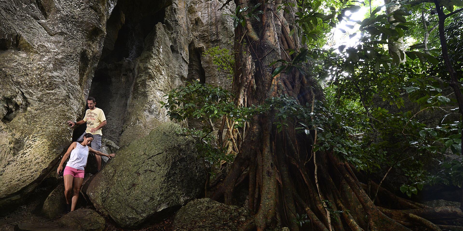 Visite de la grotte de Koumac