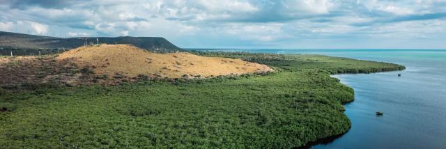 La mangrove d'Oundjo à Voh