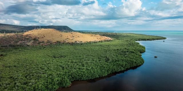La mangrove d'Oundjo à Voh