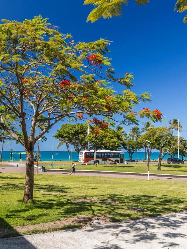 The walk at Anse-Vata Nouméa