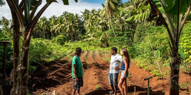 Kanak Garden in New Caledonia