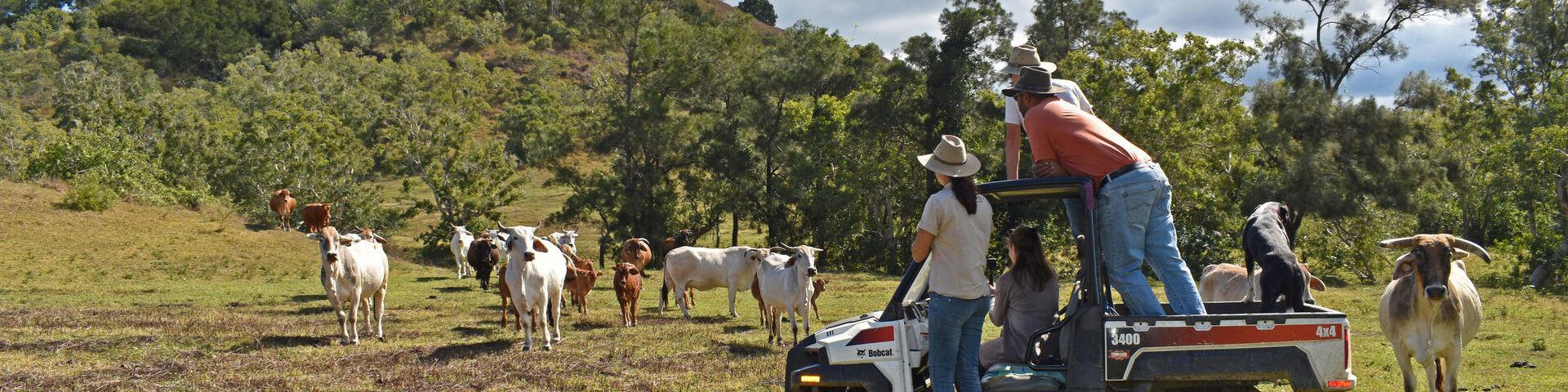 Visite d'un ferme d'exploitation de la côte Ouest