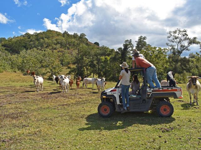 Visit to a West Coast working farm