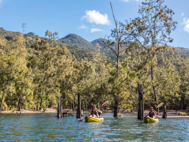 Kayaking on the lake at Blue River Provincial Park