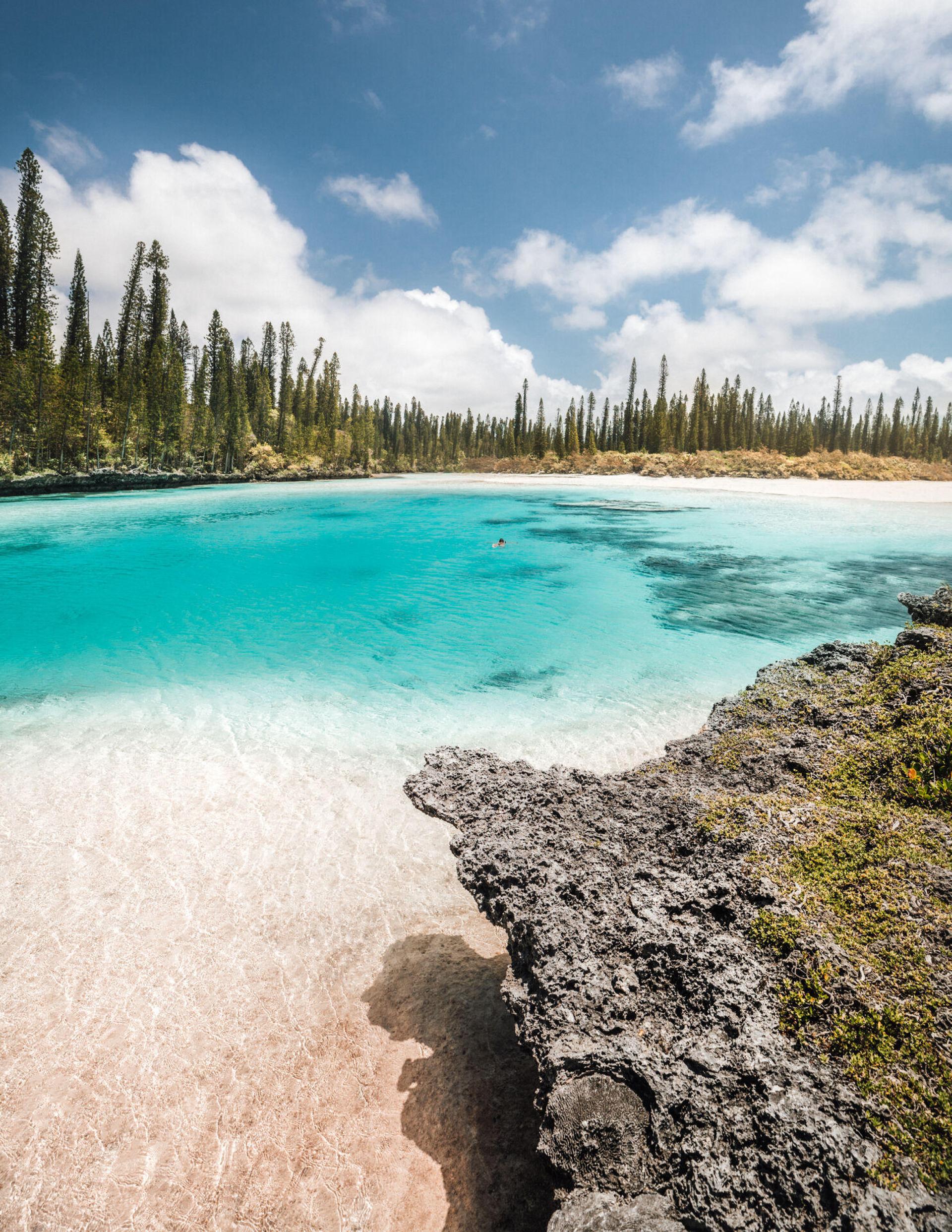 Relax at the Piscine naturelle d'Oro with its crystal-clear water, surrounded by columnar pines on Île des Pins, New Caledonia.