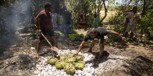 Préparation du bougna traditionnel Kanak à Lifou, Nouvelle-Calédonie