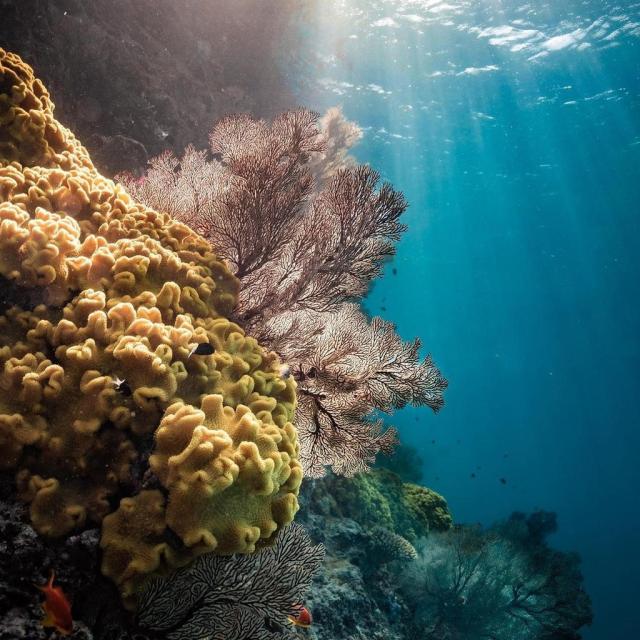 Instagram #newcaledonia