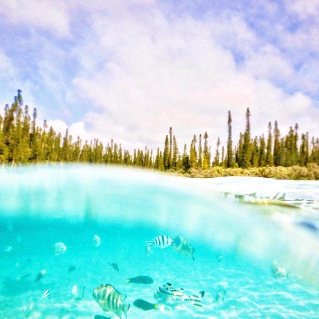 Instagram #nouvellecaledonie